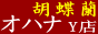 �Ӓ����I�n�i