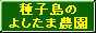 種子島のよしたま農園